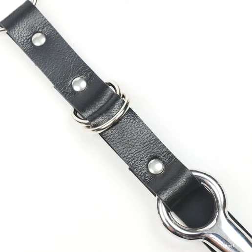 Leash with Collar and Anal 5853 Kinky EverydayUse Hook 0531
